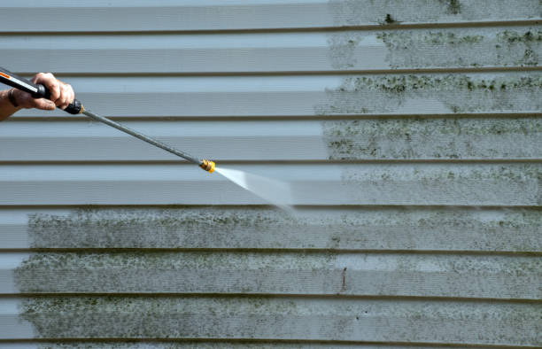 Professional Pressure Washing in Crimora, VA